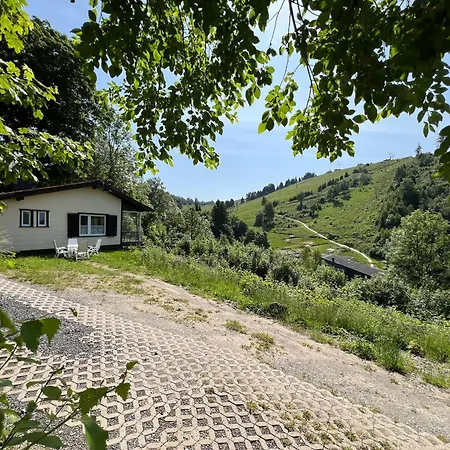 Denise Harz Sankt Andreasberg