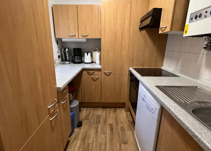 Denise Harz * 圣安德里斯伯格