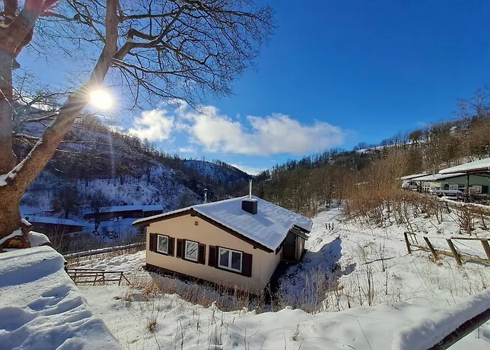 Denise Harz * Sankt Andreasberg
