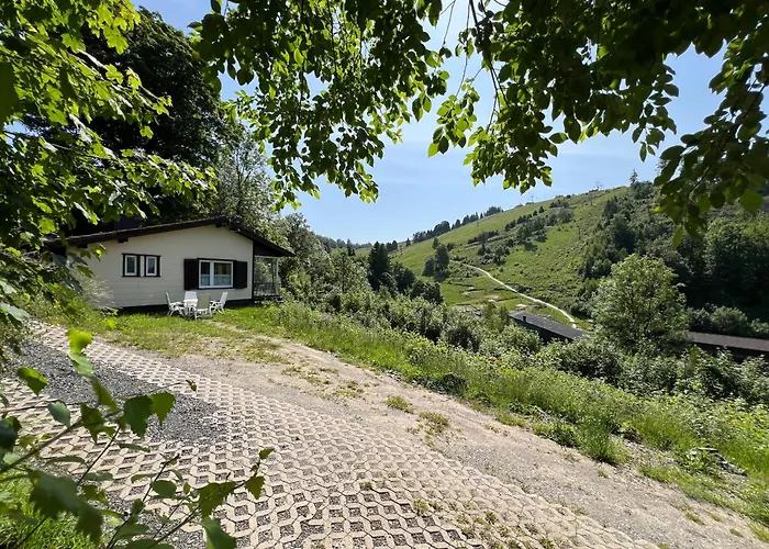 Denise Harz Sankt Andreasberg