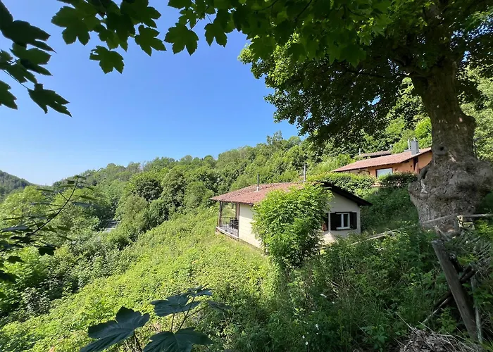 Denise Harz * 圣安德里斯伯格